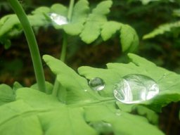 Visite de la petite cousine !